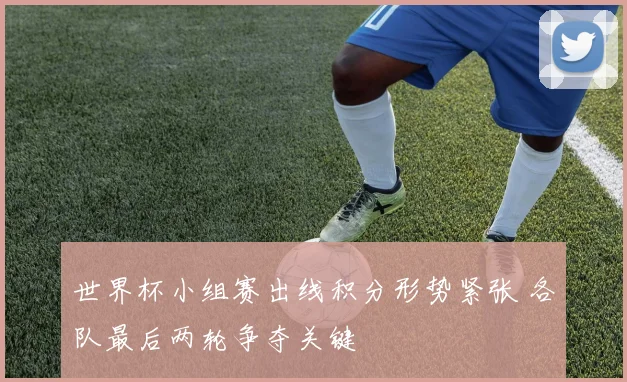 世界杯小组赛出线积分形势紧张 各队最后两轮争夺关键