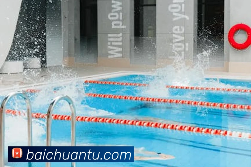 世界杯官网线上平台服务体系